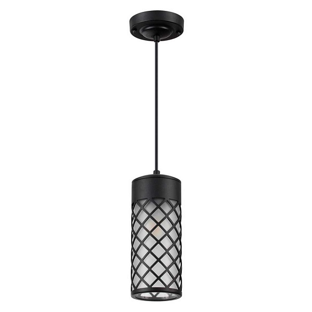 Уличный подвесной светильник Odeon Light Nature Dunes 4834/1 Фото № 1