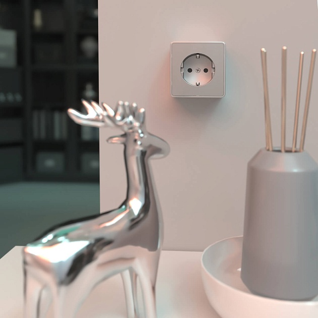 Розетка с заземлением Werkel Gallant серебряный W5071006 4690389167157 изображение 4 Розетка с заземлением Werkel Gallant серебряный W5071006 4690389167157 Фото № 4