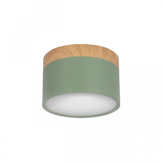 Накладной светодиодный светильник Loft IT Grape 10162 Green изображение 1 Накладной светодиодный светильник Loft IT Grape 10162 Green Фото № 1