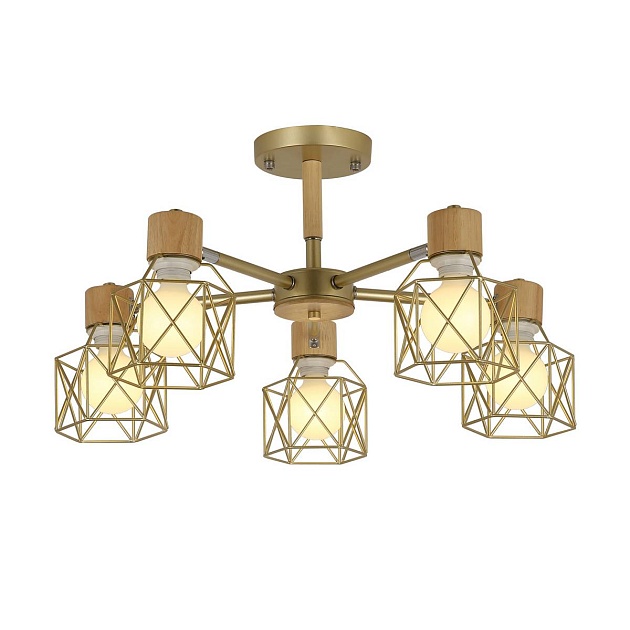 Потолочная люстра Evoluce Stelitto SLE110402-05 Фото № 1