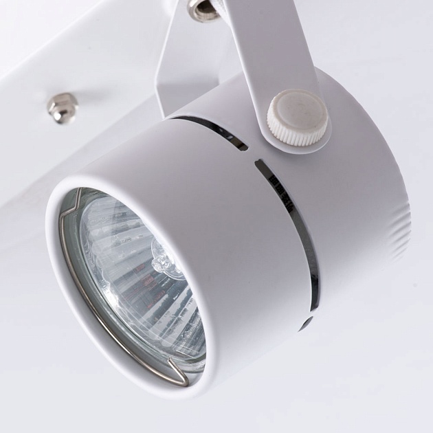 Потолочный светильник Arte Lamp A1311PL-2WH Фото № 3