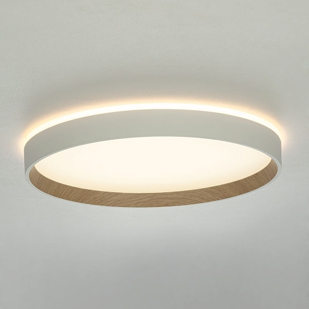 Потолочный светодиодный светильник Citilux Etalon CL750320R Фото № 12