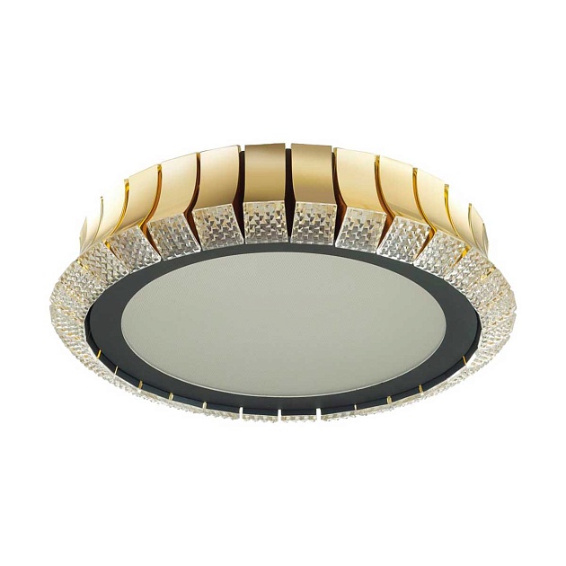 Потолочный светодиодный светильник Odeon Light Asturo 4994/75L Фото № 1