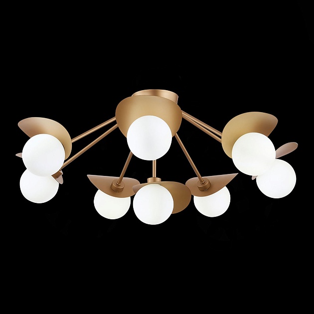 Потолочная люстра Evoluce Bolzano SLE220502-08 Фото № 4