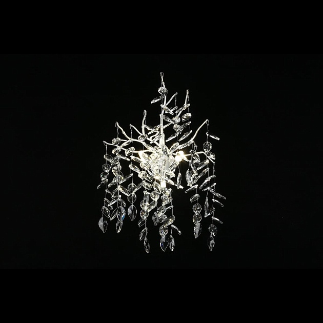 Настенный светильник Aployt Gertunia APL.847.11.03 Фото № 6