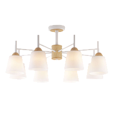 Потолочная люстра Eurosvet 70085/8 белый 5