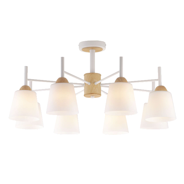 Потолочная люстра Eurosvet 70085/8 белый изображение 6 Потолочная люстра Eurosvet 70085/8 белый Фото № 6