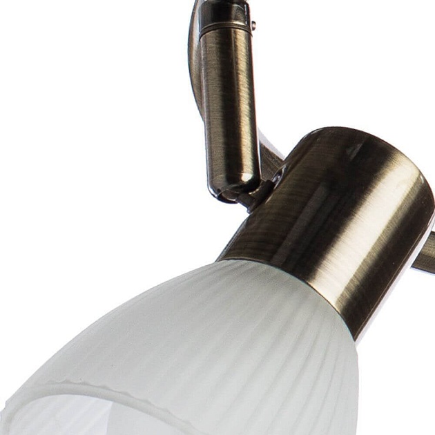 Спот Arte Lamp Parry A5062PL-3AB изображение 2 Спот Arte Lamp Parry A5062PL-3AB Фото № 2