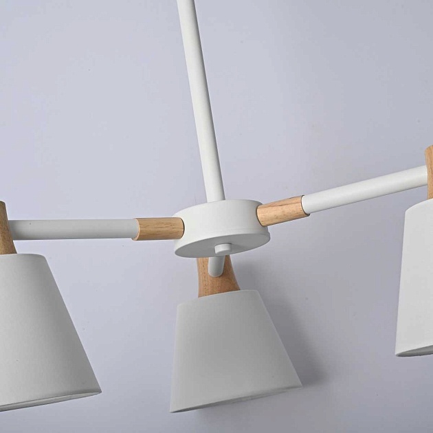 Подвесная люстра Imperium Loft Natura 101826-26 Фото № 6