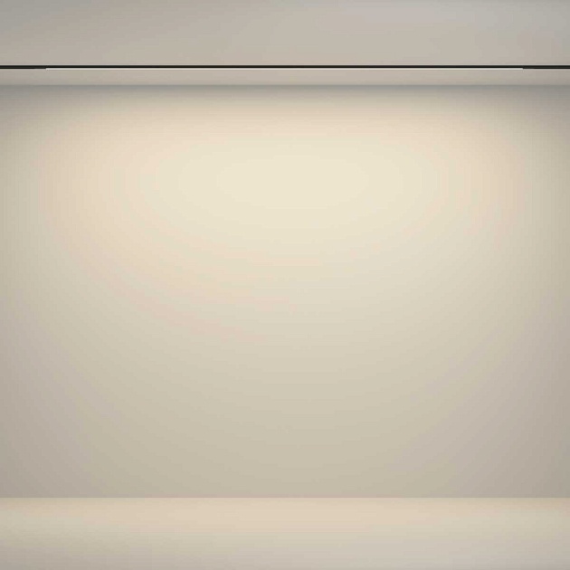 Трековый светильник Maytoni Technical TR180-1-24WTW-B Фото № 8