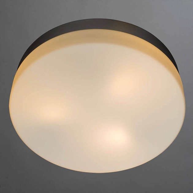 Потолочный светильник Arte Lamp Shirp A3211PL-3SI изображение 2 Потолочный светильник Arte Lamp Shirp A3211PL-3SI Фото № 2