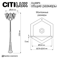 Садово-парковый светильник Citilux Forts CLU09P3 2