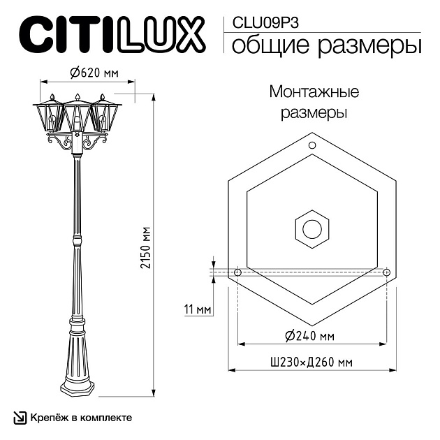 Садово-парковый светильник Citilux Forts CLU09P3 Фото № 3