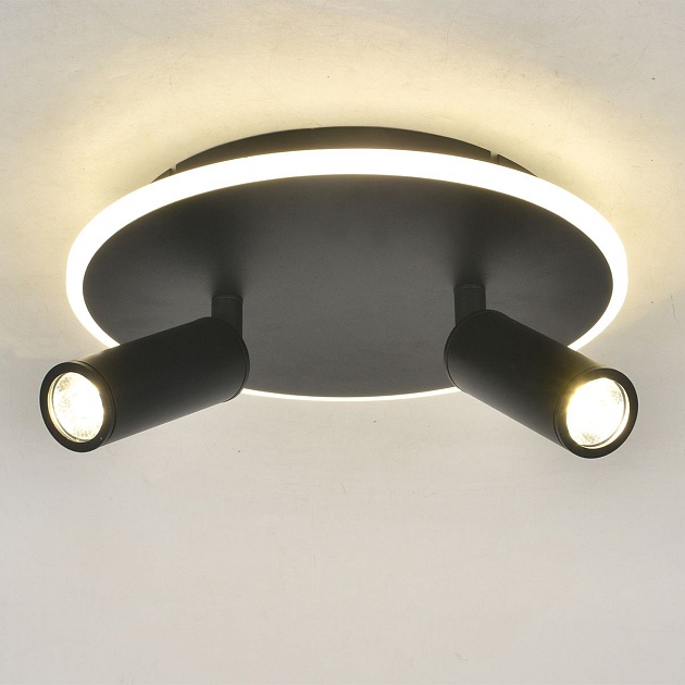 Потолочный светодиодный светильник Escada 20046SMA/02LED BK Фото № 2