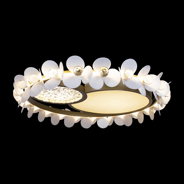 Потолочный светодиодный светильник Loft IT Bride 10174 Фото № 2