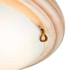 Настенно-потолочный светодиодный светильник Sonex Snok Provence 7605/BL 3