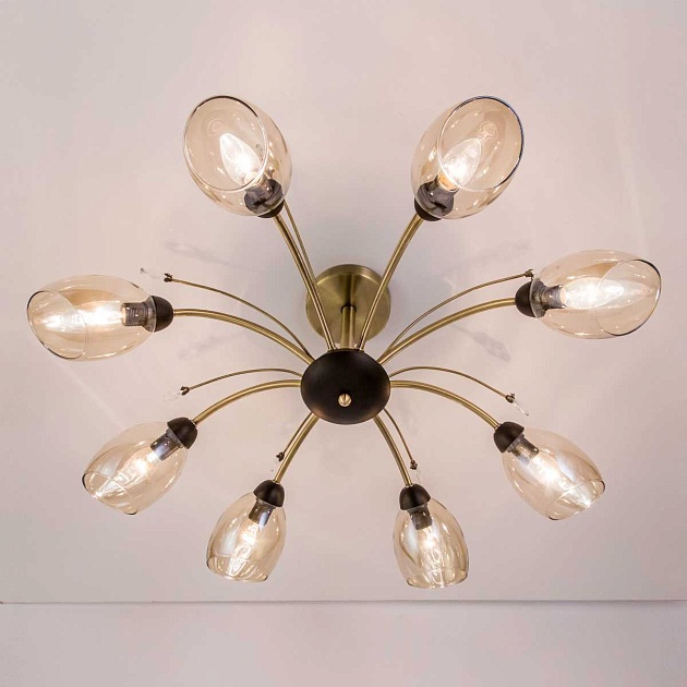 Потолочная люстра Citilux Комета CL108185 изображение 13 Потолочная люстра Citilux Комета CL108185 Фото № 13