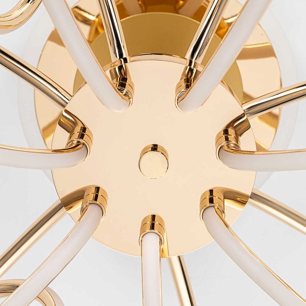 Потолочная светодиодная люстра Citilux Salma Smart CL224A172 Фото № 2