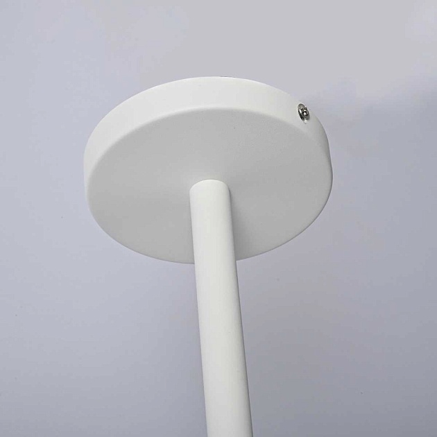 Подвесная люстра Imperium Loft Natura 101826-26 Фото № 5