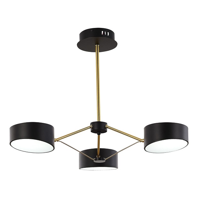 Потолочная светодиодная люстра Evoluce Valle SLE6005-402-03 Фото № 2