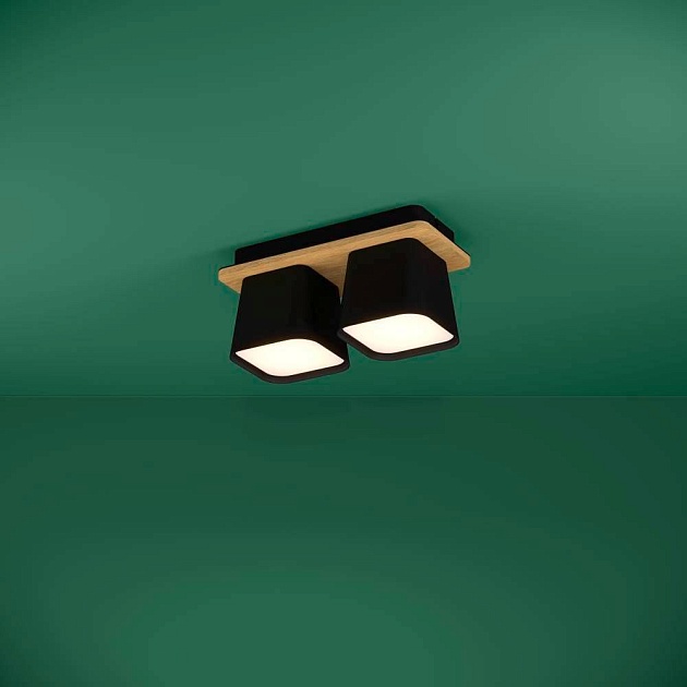 Потолочная люстра Eglo Ruscio 390007 Фото № 2