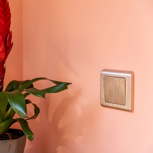 Выключатель одноклавишный Werkel шампань рифленый W1110010 4690389159992 Фото № 4