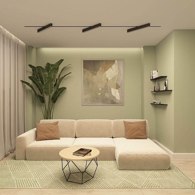 Трековый светодиодный светильник Denkirs Edder DK6644-BK Фото № 5