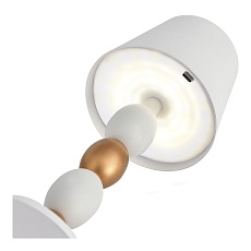 Настольная лампа ST Luce Ease SL1011.514.01 3