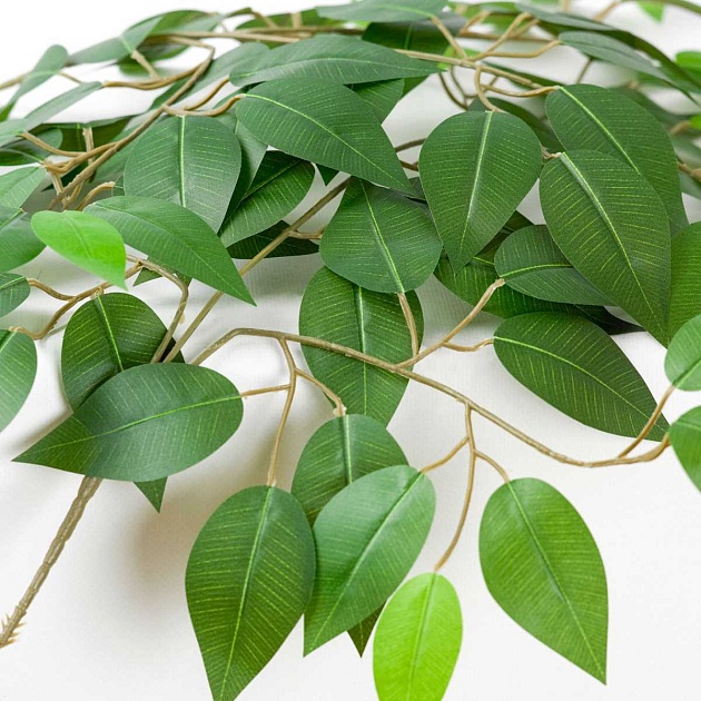 Настольная лампа Lussole IDAHO LSP-0682 Фото № 2