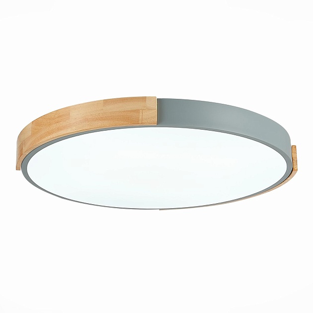 Потолочный сетодиодный светильник Evoluce Delia SLE201372-01 Фото № 3