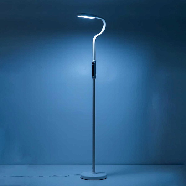 Торшер Citilux Марк CL804020 Фото № 4