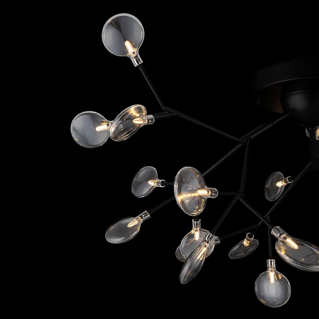 Потолочная люстра Freya Florencia FR5049CL-27B Фото № 7