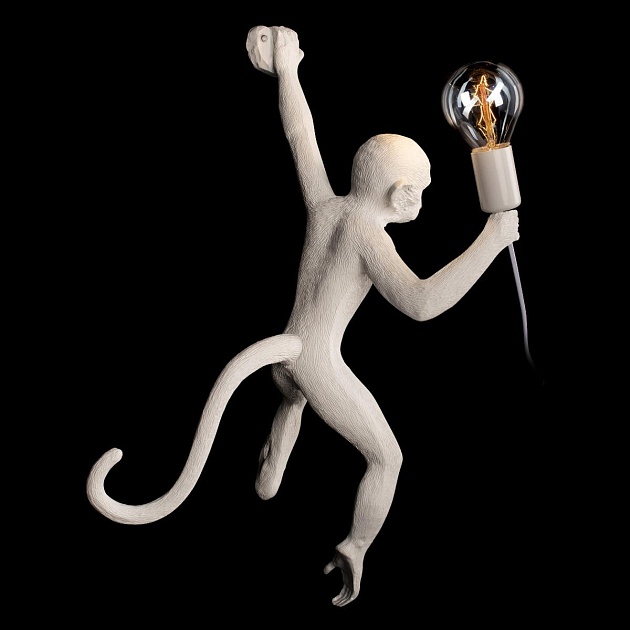 Настенный светильник Loft IT Monkey 10314W/A Фото № 6