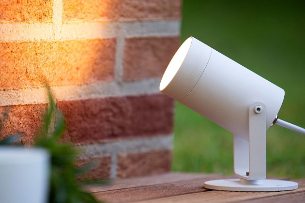 Уличный светильник Lucide Taylor 09832/01/31 Фото № 8