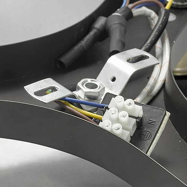 Потолочная люстра Lussole Loft Opelika GRLSP-9535 Фото № 8