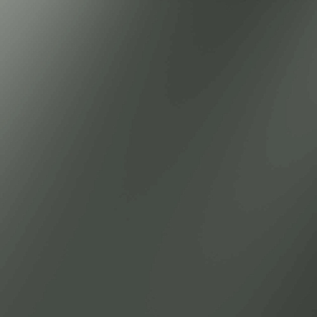 Заглушка Voltum S70 с суппортом, (титан) VLS080106 изображение 1 Заглушка Voltum S70 с суппортом, (титан) VLS080106 Фото № 1