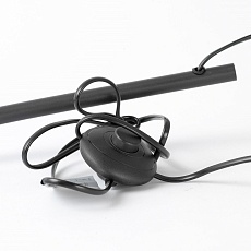 Торшер Lussole Escambia LSP-0720 4