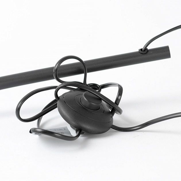 Торшер Lussole Escambia LSP-0720 Фото № 5