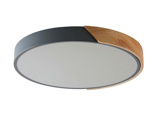 Потолочный светильник Zortes ALBERRO ZRS.01280.24 Фото № 5