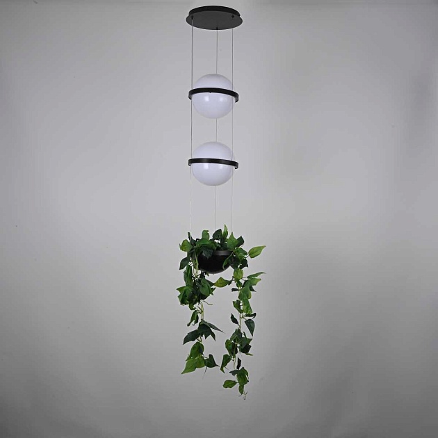 Подвесной светильник Imperium Loft Palma 168491-22 Фото № 6