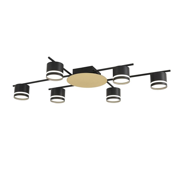 Светильник потолочный Lumion BENUA 8304/6C Фото № 4