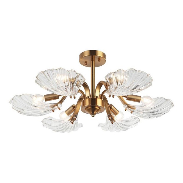 Потолочная люстра Stilfort Muschel 2153/05/06P изображение 1 Потолочная люстра Stilfort Muschel 2153/05/06P Фото № 1