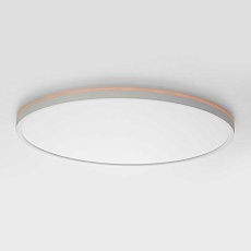 Потолочный светильник Citilux NORMA CL749500 1