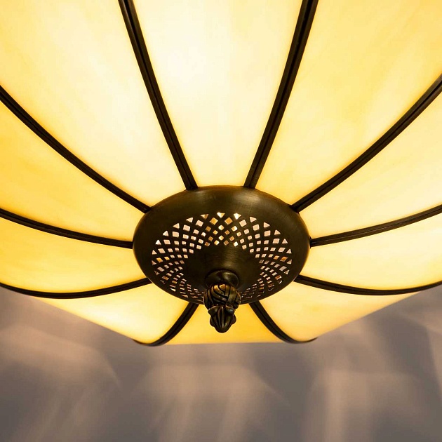 Потолочный светильник Citilux Шербург-1 CL440141 Фото № 4