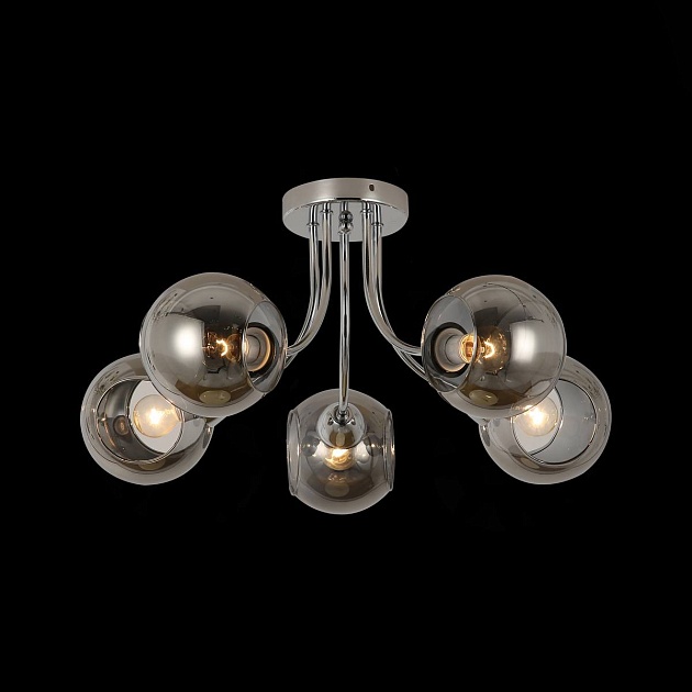 Потолочная люстра Evoluce Relotte SLE102102-05 изображение 2 Потолочная люстра Evoluce Relotte SLE102102-05 Фото № 2