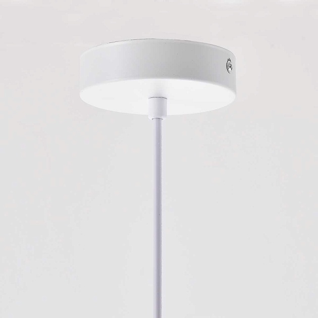 Подвесной светильник Imperium Loft MU01 101814-26 изображение 9 Подвесной светильник Imperium Loft MU01 101814-26 Фото № 9
