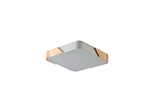 Потолочный светильник Zortes ALBERRO ZRS.01285.48 1