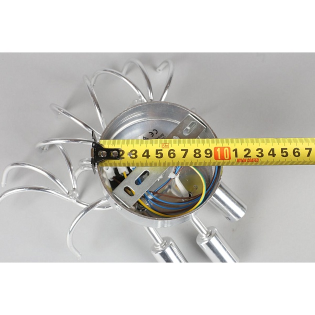 Настенный светильник Aployt Danusia APL.846.01.03 Фото № 3