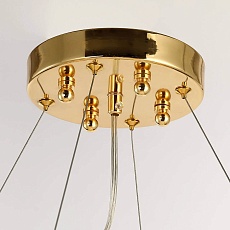 Подвесная люстра Favourite Inventio 2754-10P 2