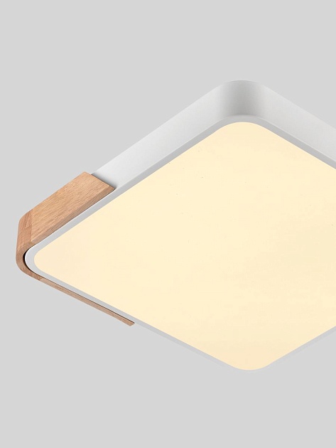 Потолочный светодиодный светильник Natali Kovaltseva LED LAMPS 81410 изображение 3 Потолочный светодиодный светильник Natali Kovaltseva LED LAMPS 81410 Фото № 3